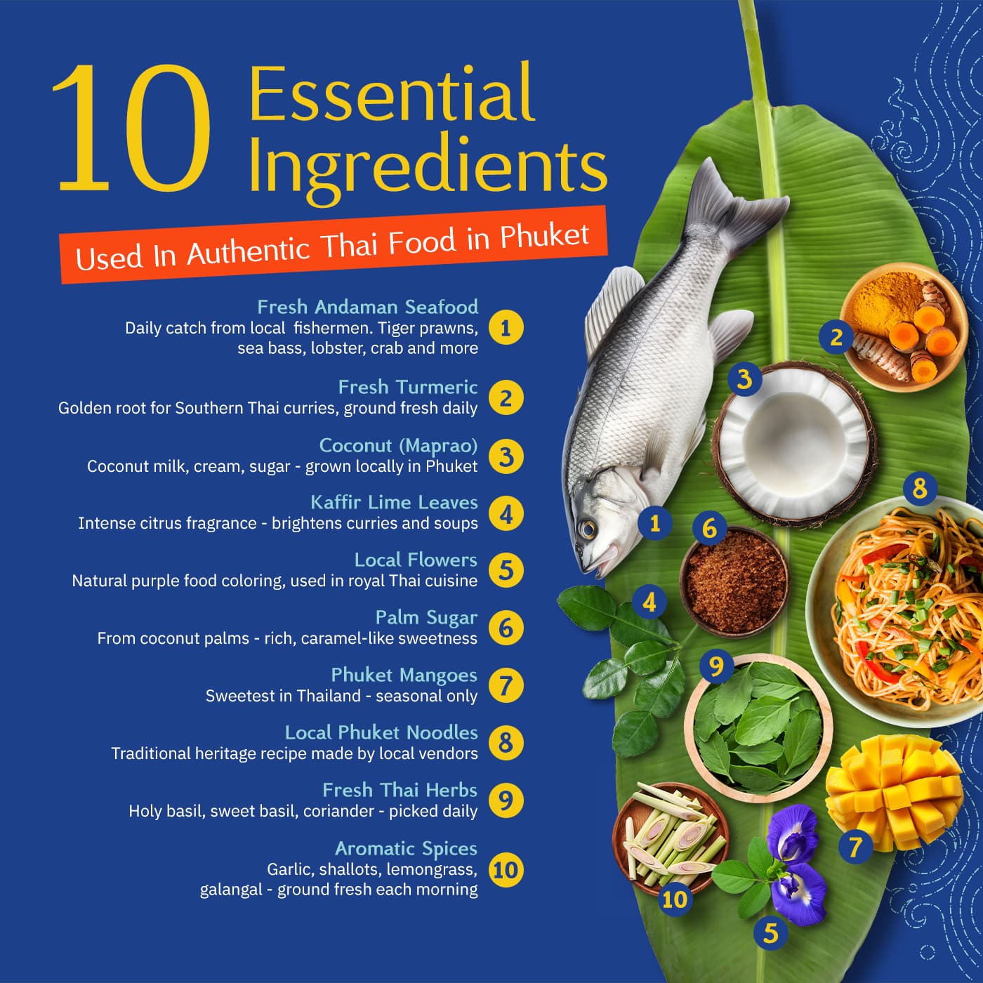 Infographic for ingredients used in authentic Thai food in Phuket